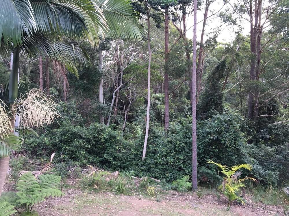 Mapleton Cabins & Caravan Park Exterior foto
